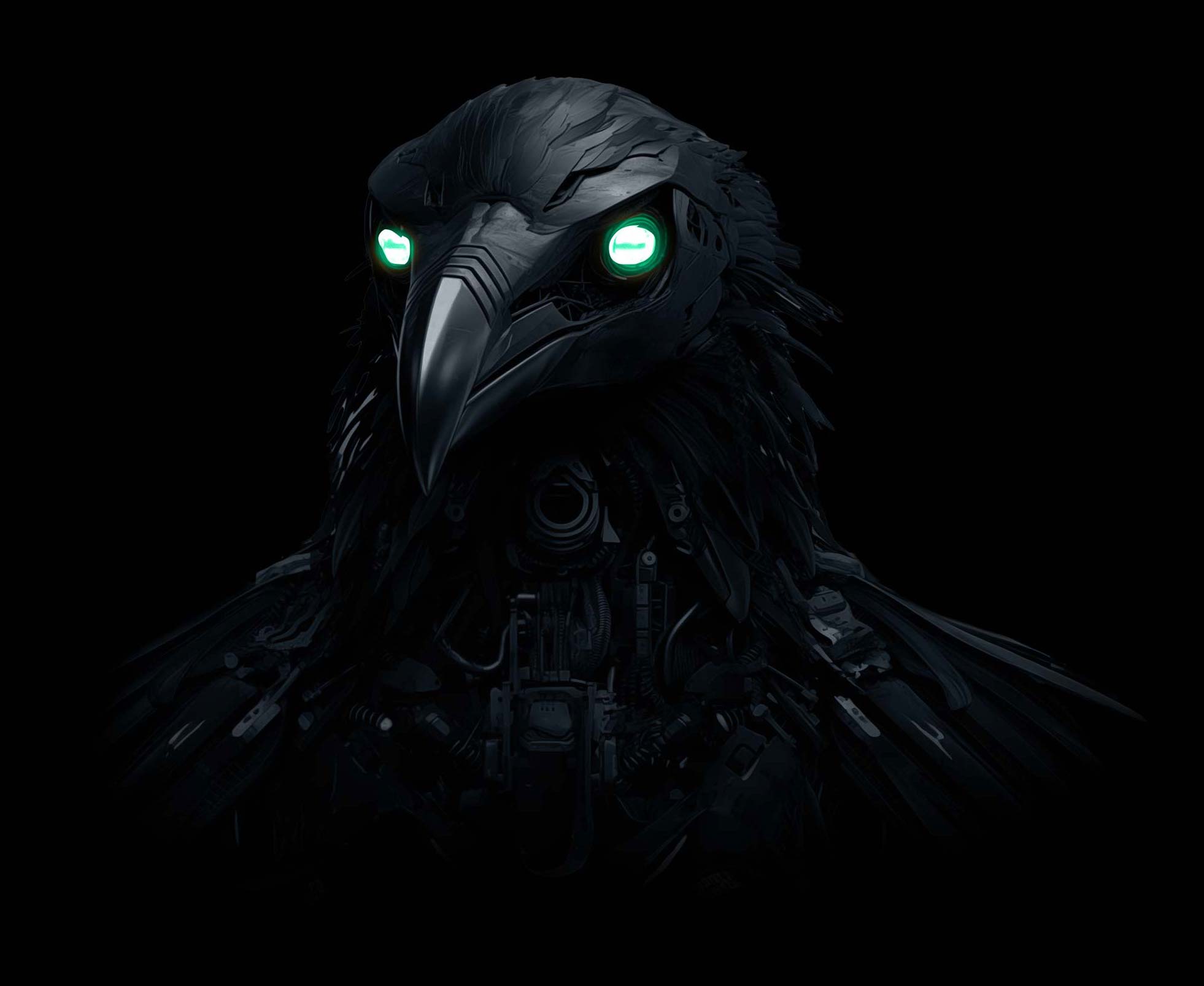 Raven blackbird
